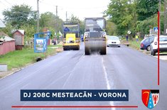 dj-208c-mesteacan-vorona-5_20211012.jpg