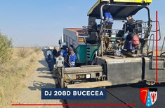 dj-208d-bucecea-1_20211012.jpg