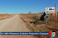 dj-293-mileanca-codreni-putureni-cotusca_20211026.jpg