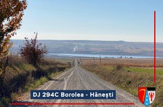 borolea-hanesti_20211215.jpg