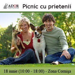 Astăzi în zona Cornișa | Ador vă invită la picnic!   