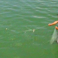 Tentativă de furt piscicol şi utilizare de unelte din plasă de tip monofilament 