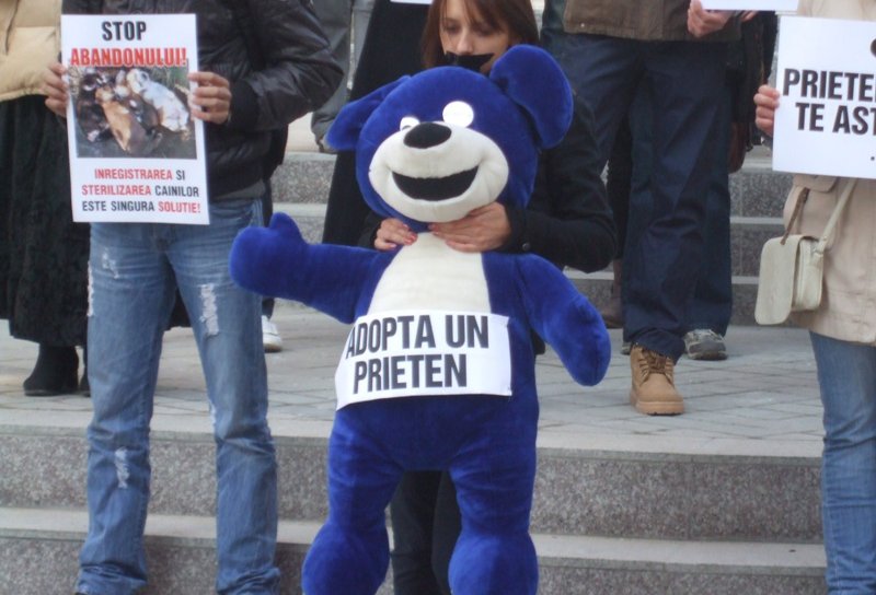 Acțiune amplă de protest sub deviza „Nu mai vreau câini în stradă - DA Sterilizării NU Uciderii”