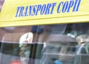Microbuze gratuite puse la dispoziție de Consiliul Judeţean pentru vizite la Memorialul Ipoteşti