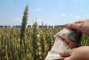 Agricultorii botoşăneni vor primi o subvenţie cuprinsă între 150 şi 170 euro pe hectarul de teren agricol