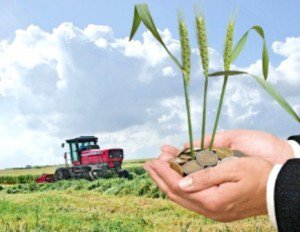 Ministerul Agriculturii începe plata subvențiilor pentru toate categoriile de producători