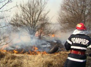 Focuri scăpate de sub control la Șendriceni și Suharău