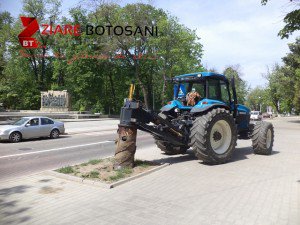 Acțiuni de plantare de pomi si refacerea Bulevardului Mihai Eminescu efectuate de Primaria Botoșani - FOTO