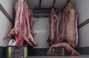 Carnea de porc se va scumpi cu 12-15% în acest an