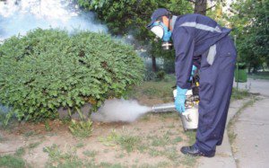 Operaţiune de dezinsecţie în vederea combaterii căpuşelor şi a altor insecte efectuată în Botoșani