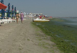 Fenomen neplăcut pe plajele din Mamaia: „Nu ne place deloc ce se întâmplă”