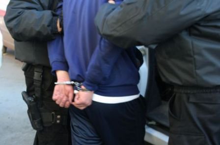 Bărbat din Botoșani reținut de polițiști, după ce a dat două spargeri la ferma la care era angajat sezonier