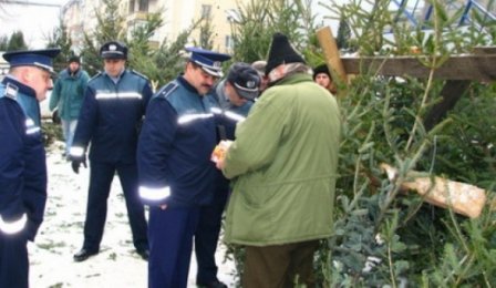 Brazi confiscați de polițiștii botoșăneni în cadrul acțiunii pentru combaterea ilegalităților în domeniul silvic