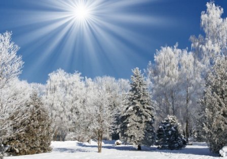Meteorologii anunţă vreme caldă în preajma Crăciunului