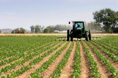 APIA: Ajutoarele de minimis pentru agricultura ecologică se plătesc din 2 decembrie