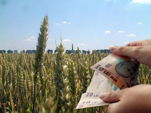 Unde ajung cele mai mari subvenţii din agricultură