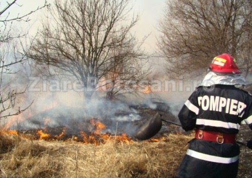 ISU Botoșani: Câmpuri aprinse din neglijenţă în patru localități din județ