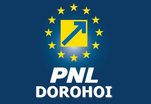 PNL Dorohoi: Vot împotriva lui Mihai Țurcanu pentru șefia partidului