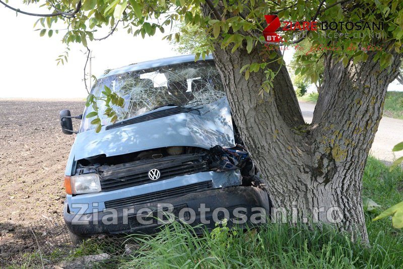 Trei persoane au ajuns la spital, după ce maşina în care se aflau s-a izbit într-un copac. Șoferul era băut