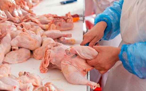 Cum recunoști carnea de pui cu hormoni