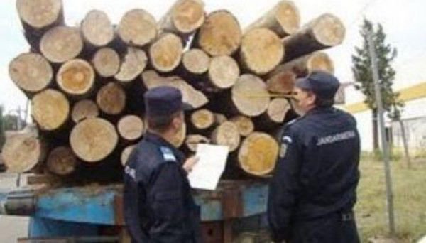 Sancţiuni şi confiscare de material lemnos în localitatea Trușești