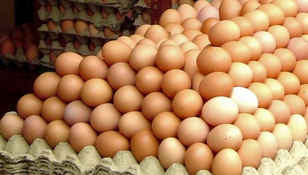 Cum recunoști ouăle care provin de la găini bolnave?