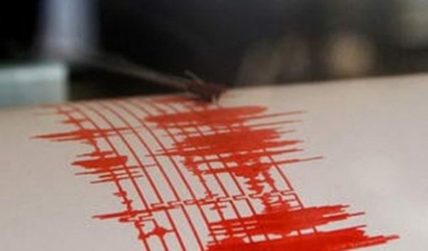 Două cutremure, luni, în România: Unul în Neamț și altul în Vrancea