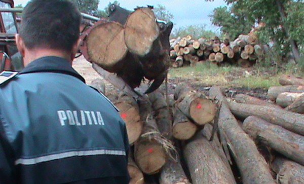 Material lemnos confiscat la Frumuşica
