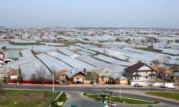Satul cu cel mai scump pământ din România. Un hectar de teren agricol este de trei ori mai scump decât în Olanda