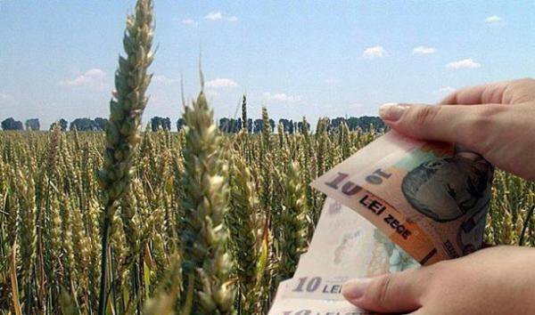 APIA va începe să plătească subvenţii în valoare de două miliarde de euro fermierilor