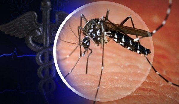 Alertă: Au fost confirmate trei cazuri de infecţie cu virusul West Nile