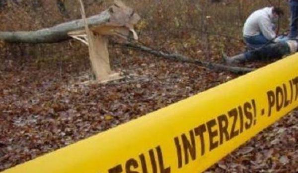 Tragic! Un adolescent şi-a pierdut viaţa după ce un copac a căzut peste el