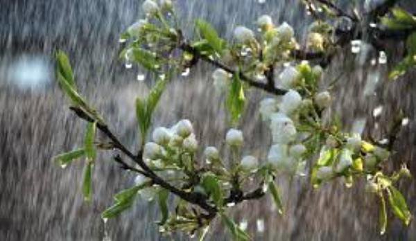 Regim termic oscilant și condiții de ploaie aproape în fiecare zi, în intervalul 20 martie – 2 aprilie
