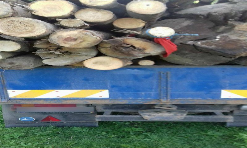 Transport ilegal de material lemnos depistat de poliţiştii de frontieră dorohoieni