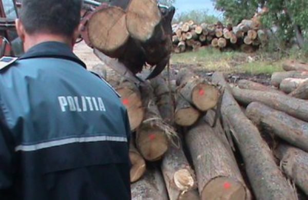 Material lemnos fără documente legale depistat de polițiști