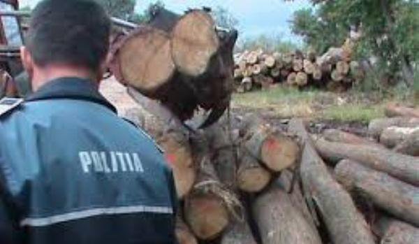 Material lemnos confiscat de poliţiştii botoșăneni.