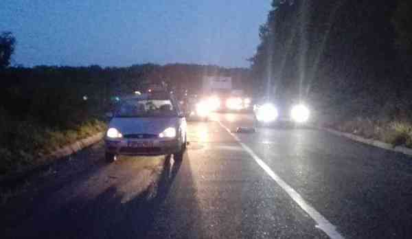 Accident teribil pe o șosea din Botoșani! Un șofer a accidentat mortal o căprioară 