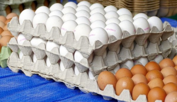 Cum îți dai seama că ouăle cumpărate sunt de la o găină bolnavă.