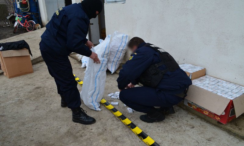 Percheziţii domiciliare la Rădăuți Prut: aproximativ 40.000 ţigarete de contrabandă descoperite - FOTO