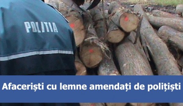 Transport ilegal de lemn, oprit pe DJ 291 D. Poliţiştii au confiscat 4,8 mc material lemnos