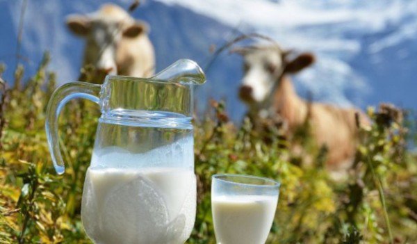 Fermierii vor primi 60 de milioane de euro, pentru înființarea de centre de colectare a laptelui