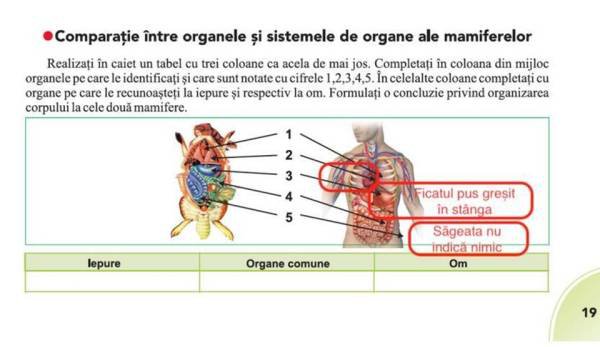 Încă un manual cu probleme: Biologia de clasa a VI-a. Inima și ficatul, puse greșit într-o poză