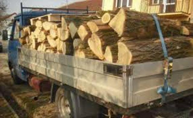 Persoane cercetate pentru transport ilegal de material lemnos
