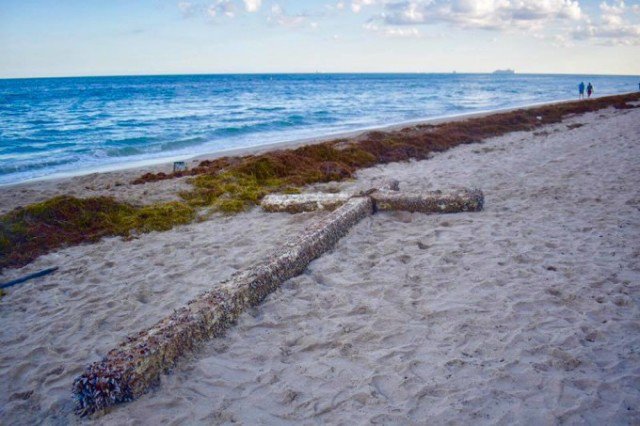 Apariție misterioasă pe o plajă din Florida. Nimeni nu știe de unde ar proveni