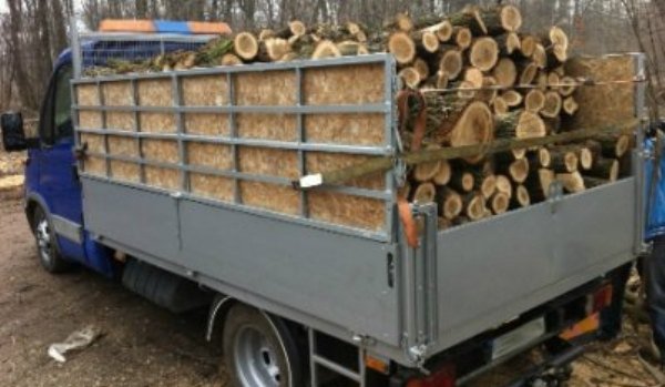 Amendă de 5.000 de lei pentru un transport ilegal de lemne și materialul lemnos confiscat