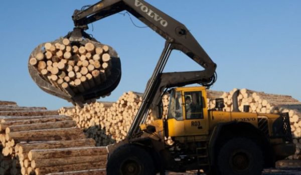 Firmă din Hudum, amendată cu 10.000 de lei pentru 14 mc de lemn fără acte