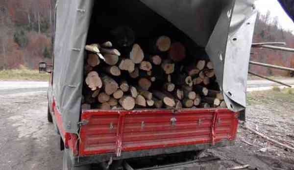 Transport ilegal lemn! Au rămas şi fără bani şi fără „marfă”