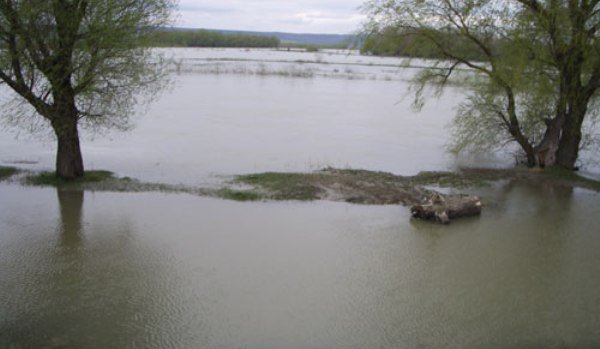 Cod portocaliu de inundaţii pe râul Prut, pe două sectoare din județul Botoșani
