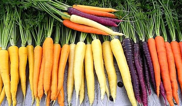 Beneficiile morcovilor pentru sănătate, în funcție de culoarea acestora