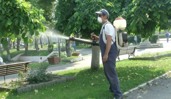 Atenție! Primăria Botoșani efectuează o nouă acțiune de dezinsecție împotriva țânțarilor și căpușelor